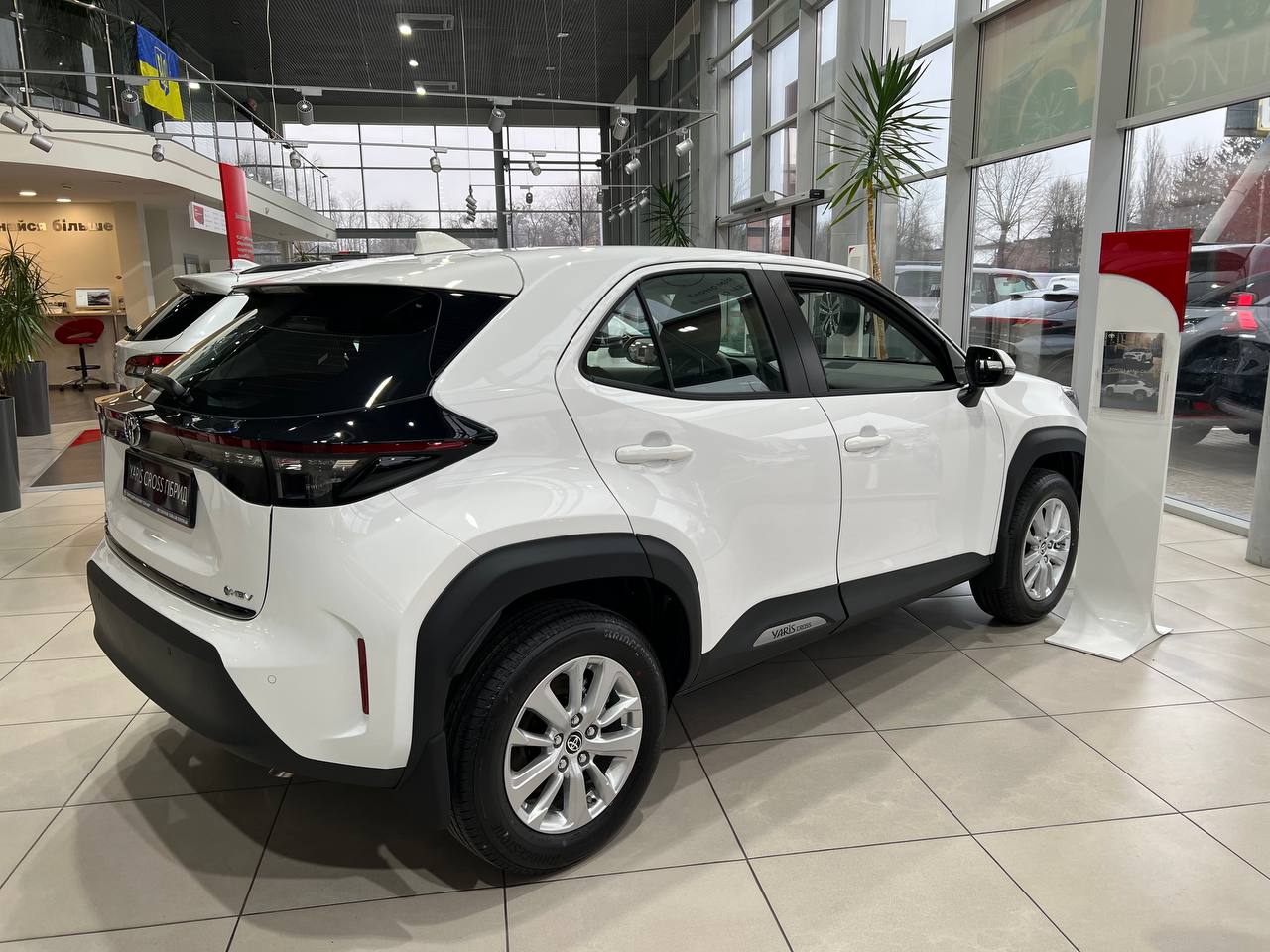 photo_2025_02_04_15_30_24